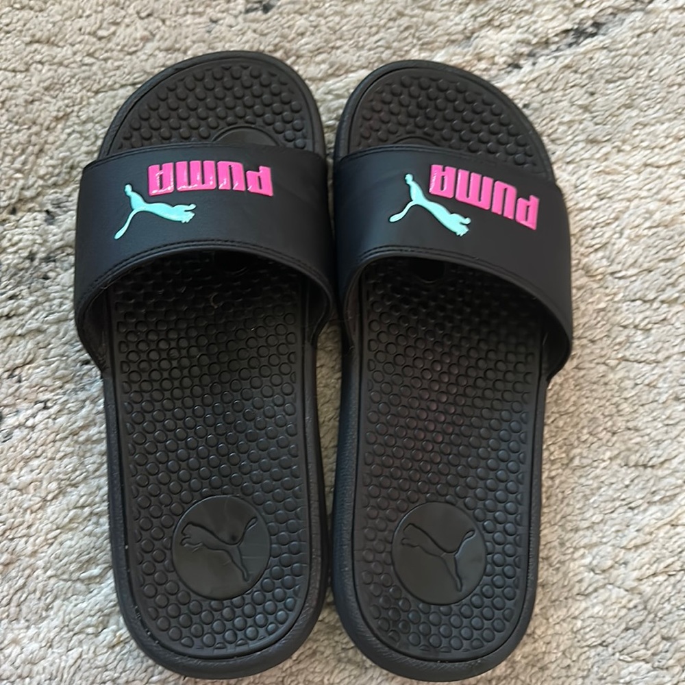 Puma slide